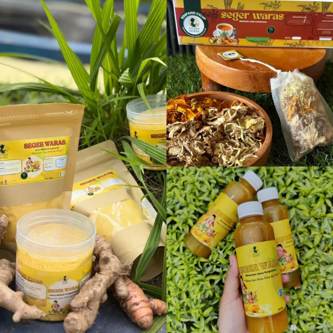 Kampung Herbal KWT Sitara Jember